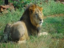 Tourism: Know the heart of India, Madhya Pradesh, in 'small packages' 