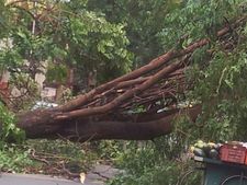 1 person killed, 3 injured as Nor'wester sweeps West Bengal