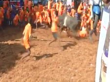 Tamil Nadu: After 3 years, Jallikattu event organized in Madurai