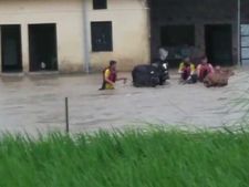 Dehradun: People and cattle rescued from flooded area in Raiwala