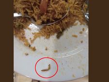 Worm found in biriyani at IKEA Hyderabad, firm to cough up Rs 11,500 as fine