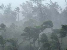 Weather forecast: Heavy rains likely in Kolkata; Dust storm and thundershower in Delhi