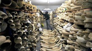 Ivory carving worth Rs 2.50 crore seized in Thane