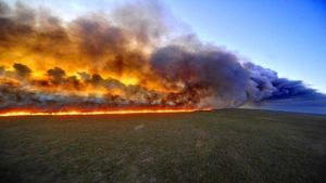 Forest fire rages in India: What is it? How fire-prone are India’s forests?