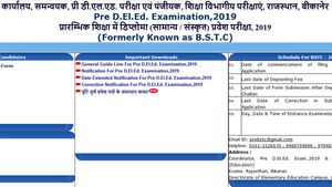 Rajasthan BSTC Allotment Results 2019 declared, direct link to check