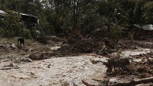 J&K: 4 killed, 6 injured in landslides in Kishtwar