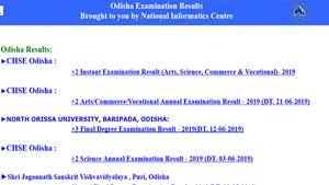 Odisha +2 instant exam result 2019 declared on this website
