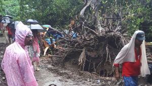 Bihar Rain updates: More downpour likely today, death toll climbs to 40