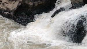  TN: Flood alert in Coimbatore, Nilgiris districts as Pillor dam brims