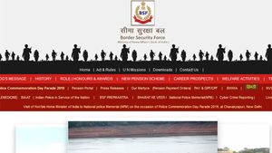 BSF Head Constable RM/RO result 2019 declared, check details here