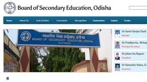 OTET Result 2019 declared on bseodisha.ac.in