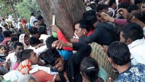 Mystery of “magical Mahua healer tree” in Madhya Pradesh jungle
