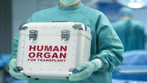 29-year-old Brain dead woman gives new lease of life to 9 people 