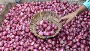 Onions to cost Rs 35 per kilo in Hyderabad