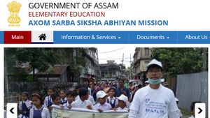 Assam TET Result 2019 declared, website responding