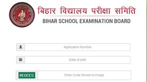 BSTET admit card released: Exam date announced