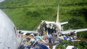 298 baggage pieces retrieved from Kozhikode Air India Express plane crash site