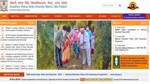 CCSU BEd Result 2020 declared, direct link to check