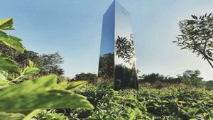 Now, mysterious 'monolith' surfaces in park in Ahmedabad