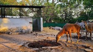 COVID-19: Ahmedabad zoo, lakefront, gardens closed