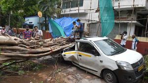 Cyclone Tauktae: More than 2,000 houses, crops on 363 hectares damaged in Thane