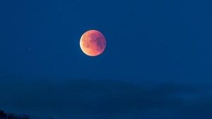 Lunar Eclipse 2021: Eating practices, mantras to chant during Chandra Grahan