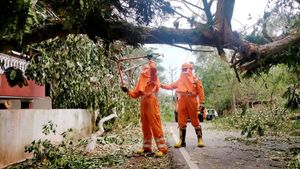 Cyclone Yaas: Officials cancel 38 long-distance South and Kolkata-bound passenger trains