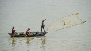 Tamil Nadu fisherman injured in firing by Indian Navy