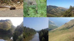 National Wildlife Day: Let's protect endangered species from extinction
