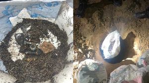 Major mishap averted as bag with powerful explosives found from forest in J&K's Ramban