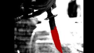 Man stabbed to death in Kochi