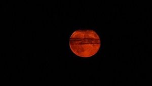 In pics: Strawberry Super Moon 2022 lights up the sky