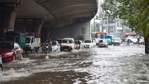 Delhi weather update: Light rain likely in city, predicts IMD