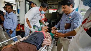 In dry Bihar, hooch claims 11 lives