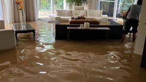 In Pics: Nature's fury spares none, not even VIPs