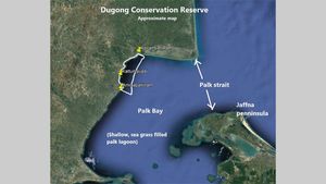 Tamil Nadu Gets India's first Dugong Conservation Reserve!