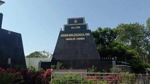 Chennai’s Vandalur Zoo Gets First Rank in the Center MEE ZOO Report!