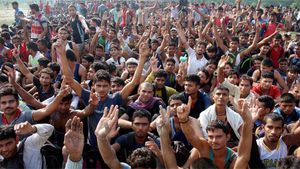 NCERT study links decline in student enrolment to dip in young population since 2011