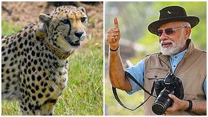PM Modi brought cheetahs from Nigeria' to spread lumpy skin disease: Maha Congress chief