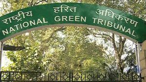 Interim stay on construction of Uttarakhand's Tiger Safari