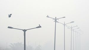 Delhi NCR breathe in 'severe' air; Worse days ahead