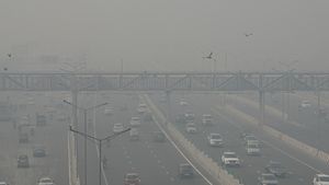Delhi choked and breathless as air quality becomes 'severe'