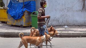 Noida imposes Rs 10,000 fine for pet dog attacks