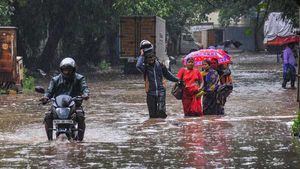 Chennai rains claim 2 lives; schools shut 