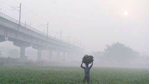 Delhi enveloped in thick smog with 'very poor' air quality 