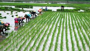 Statistical Analysis of MK Stalin's mission on Farmer's Empowerment