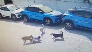 CCTV footage shows 4-year-old mauled to death by street dogs in Hyderabad
