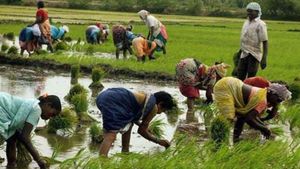 Amazon Inks Pact With ICAR To Empower Farmers Enrolled Under Kisan Store