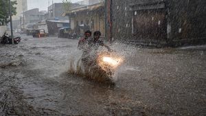 Monsoon Arrives In Delhi, Mumbai: IMD Issues Heavy Rain Warning For Several States