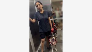 'Tumhaari Biwi se Behtar': Viral Video Shows Dog Owner Arguing with Residents inside Lift in Noida Society